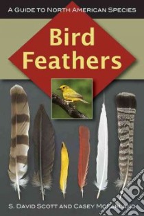 Bird Feathers libro in lingua di Scott S. David, McFarland Casey