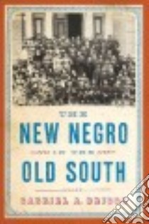 The New Negro in the Old South libro in lingua di Briggs Gabriel A.