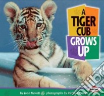 A Tiger Cub Grows Up libro in lingua di Hewett Joan, Hewett Richard (PHT), Hewett Richard (ILT)