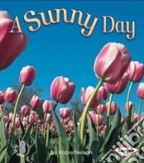 A Sunny Day libro in lingua di Nelson Robin