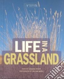 Life in a Grassland libro in lingua di Patent Dorothy Hinshaw, Munoz William (ILT)