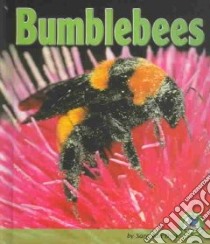 Bumblebees libro in lingua di Van Dyck Sara