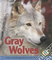 Gray Wolves libro in lingua di Stone Lynn M.