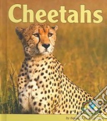 Cheetahs libro in lingua di Parker Barbara Keevil