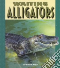 Waiting Alligators libro in lingua di Munoz William