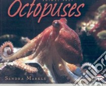 Octopuses libro in lingua di Markle Sandra