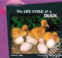 The Life Cycle of a Duck libro in lingua di Hipp Andrew, Kuhn Dwight (PHT), Kuhn Dwight (ILT)