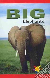 Big Elephants libro in lingua di Braidich Shelby