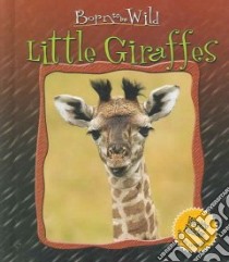 Little Giraffes libro in lingua di Marie Christian