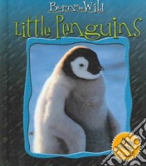 Little Penguins libro in lingua di Jonas Anne