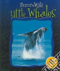 Little Whales libro in lingua di Rennert Violette