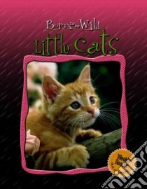 Little Cats libro in lingua di Montardre Helene