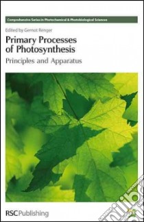 Primary Processes of Photosynthesis libro in lingua