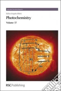 Photochemistry libro in lingua