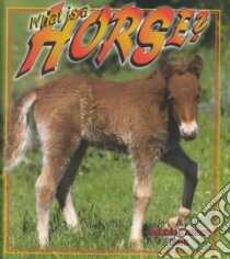 What Is a Horse? libro in lingua di Kalman Bobbie, Levigne Heather