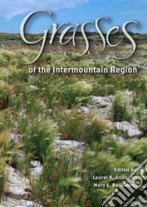 Grasses of the Intermountain Region libro in lingua di Anderton Laurel K. (EDT), Barkworth Mary E. (EDT), Roche Cindy Talbott (ILT), Vorobik Linda Ann (ILT), Long Sandy (ILT)