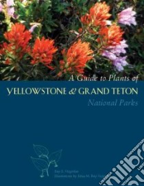 Guide to Plants of Yellowstone And Grand Teton National Parks libro in lingua di Vizgirdas Ray S., Ray-Vizgirdas Edna M.