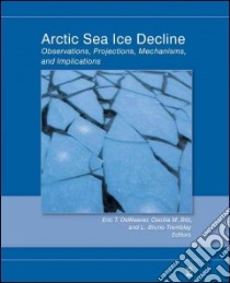 Arctic Sea Ice Decline libro in lingua di Deweaver Eric T. (EDT), Bitz Cecilia M. (EDT), Tremblay L. Bruno (EDT)