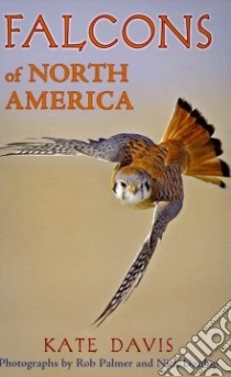Falcons of North America libro in lingua di Davis Kate, Palmer Rob (PHT), Dunlop Nick (PHT)