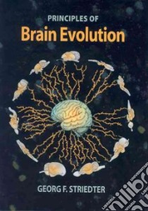 Principles Of Brain Evolution libro in lingua di Striedter Georg F.