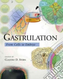 Grastrulation libro in lingua di Stern Claudio D. (EDT)