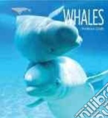 Whales libro in lingua di Gish Melissa