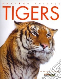 Tigers libro in lingua di Bodden Valerie