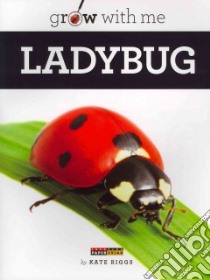 Ladybug libro in lingua di Riggs Kate