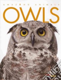 Owls libro in lingua di Bodden Valerie