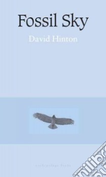 Fossil Sky libro in lingua di Hinton David (TRN)