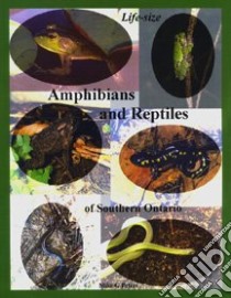 Life Size Amphibians And Reptiles of Southern Ontario libro in lingua di Peters Mike G.