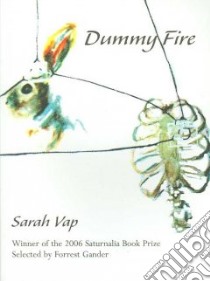 Dummy Fire libro in lingua di Vap Sarah