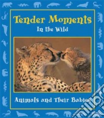 Tender Moments in the Wild libro in lingua di Maze Stephanie