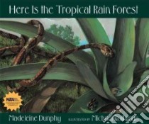 Here Is the Tropical Rain Forest libro in lingua di Dunphy Madeleine, Rothman Michael (ILT)
