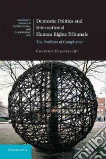 Domestic Politics and International Human Rights Tribunals libro in lingua di Hillebrecht Courtney
