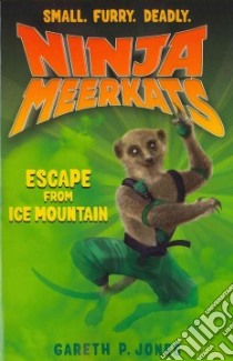 Escape from Ice Mountain libro in lingua di Jones Gareth P., Finlayson Luke (ILT)