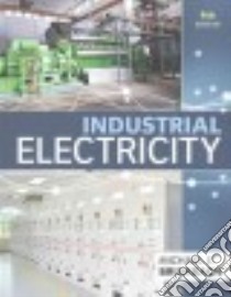 Industrial Electricity libro in lingua di Brumbach Michael E.