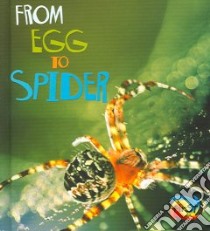 From Egg to Spider libro in lingua di Ganeri Anita