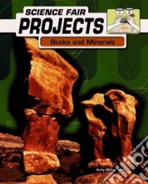 Rocks and Minerals libro in lingua di Halls Kelly Milner