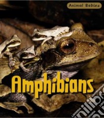 Amphibians libro in lingua di Theodorou Rod