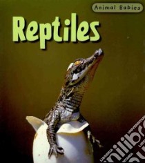 Reptiles libro in lingua di Theodorou Rod