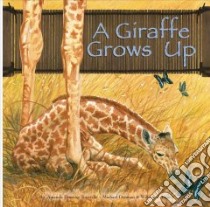 A Giraffe Grows Up libro in lingua di Tourville Amanda Doering, Denman Michael (ILT), Huiett William J. (ILT)