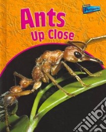 Ants Up Close libro in lingua di Birch Robin