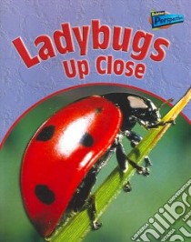 Ladybugs Up Close libro in lingua di Pyers Greg