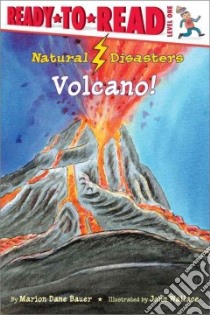 Natural Disasters libro in lingua di Bauer Marion Dane, Wallace John (ILT)
