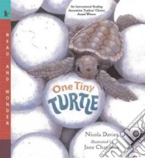 One Tiny Turtle libro in lingua di Davies Nicola