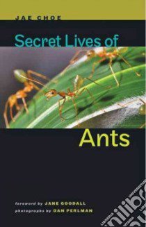 Secret Lives of Ants libro in lingua di Choe Jae, Goodall Jane (FRW), Perlman Dan (PHT), Leonard Dan (TRN)