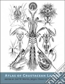 Atlas of Crustacean Larvae libro in lingua di Martin Joel W. (EDT), Olesen Jørgen (EDT), Høeg Jens T. (EDT)
