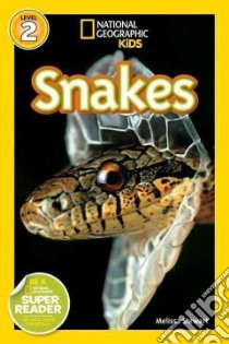 Snakes! libro in lingua di Stewart Melissa