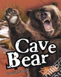Cave Bear libro in lingua di Riehecky Janet